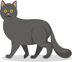 エコカラットプラス