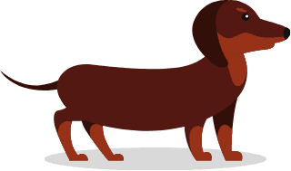 ファブリックフロア