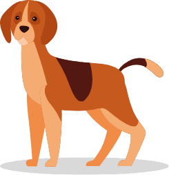 消臭快適フロア